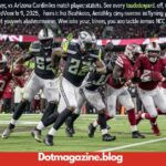 Seahawks vs Arizona Cardinals Match Player Stats: Final Box Score