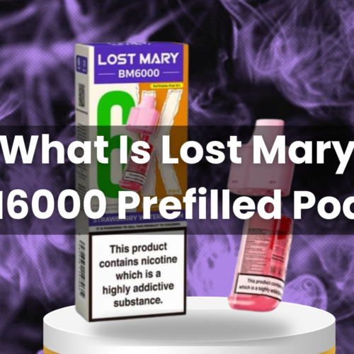 What Is Lost Mary BM6000 Prefilled Pods?
