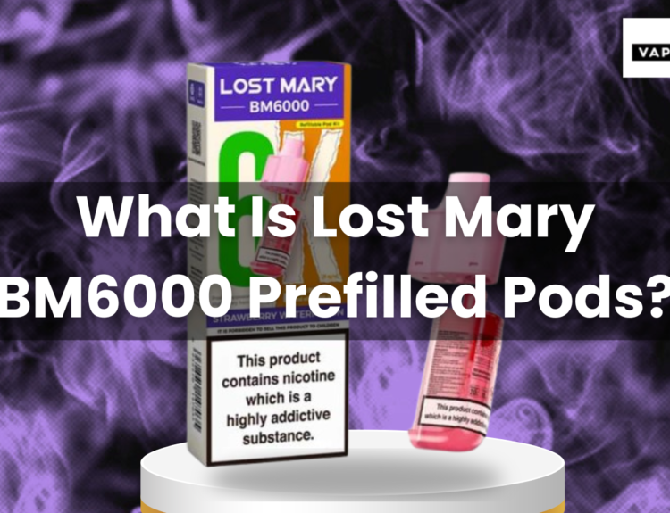 What Is Lost Mary BM6000 Prefilled Pods?